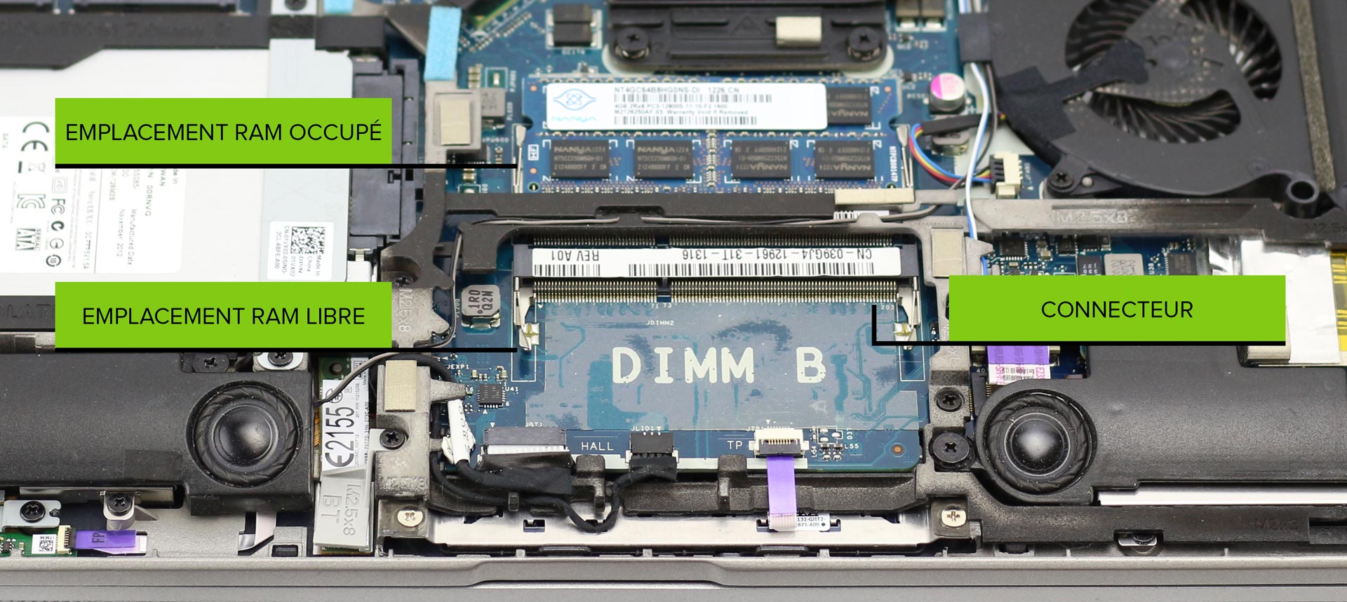 Comment remplacer la mémoire RAM d'un ordinateur portable ? - Coolblue -  tout pour un sourire